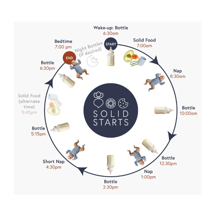 Solid Starts baby feeding schedule with bottles, naps, and solid food times